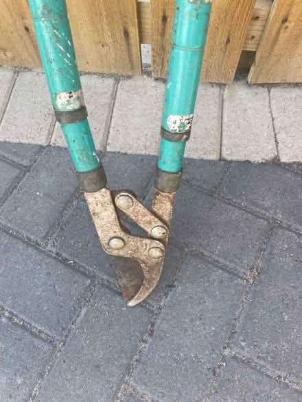 Photo of free Garden loppers (Fawdon NE3) #2