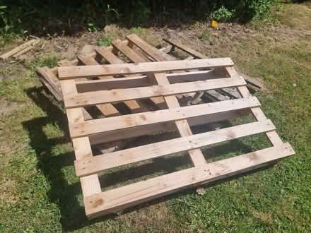 Photo of free Pallets wood (Westwick NR10) #1