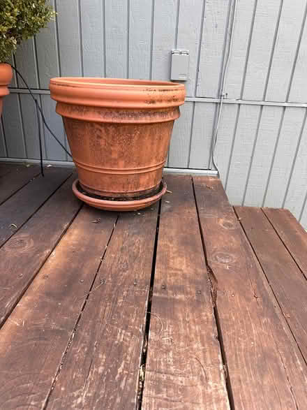 Photo of free 3 Terra Cotta Pots (Kentfield) #2
