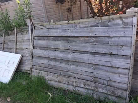 Photo of free 2 broken Fence panels 1 pallet (Sale M33) #1