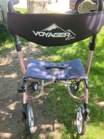 Photo of free Walker (Etobicoke North) #1