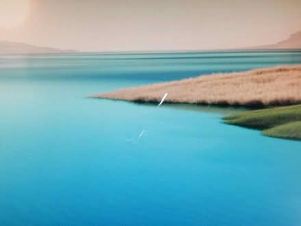 Photo of free Dell LCD monitor (HR1 Tupsley) #2