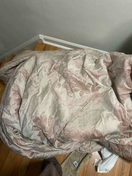 Photo of free Queen comforter set (Cameron village) #1