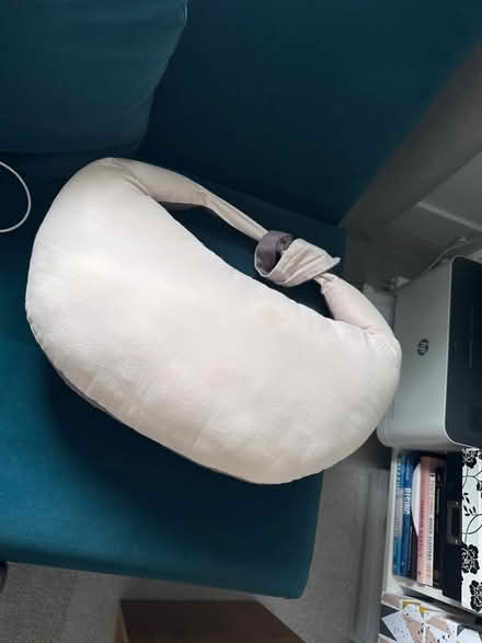 Photo of free Breastfeeding cushion (Whetstone N20) #1