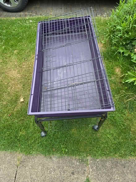 Photo of free Indoor guinea pig hutch (New Marston OX3) #1