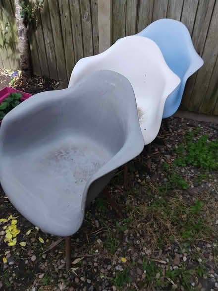 Photo of free Three ikea chairs (Heage DE56) #1