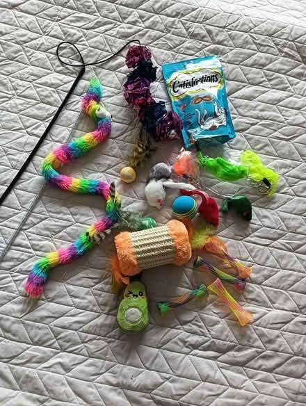 Photo of free Selection of cat toys (W5) #1
