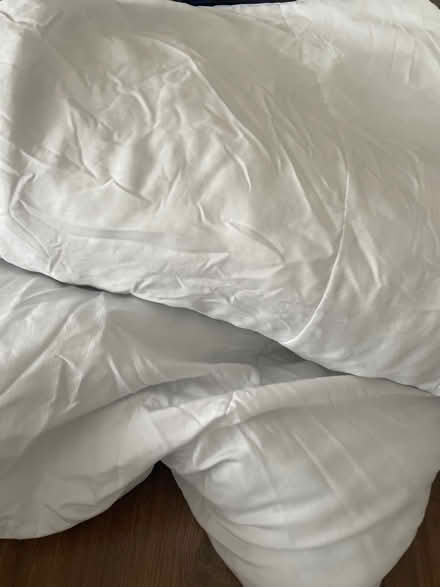 Photo of free 2 x Washed 10.5 tog Single Duvets (Welwyn Garden City AL7) #1