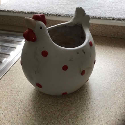 Photo of free Fun 'Chicken' planter (Alderley Edge SK9) #1