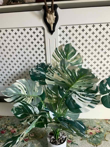 Photo of free Artificial plant (Clayton brook PR5 8) #1