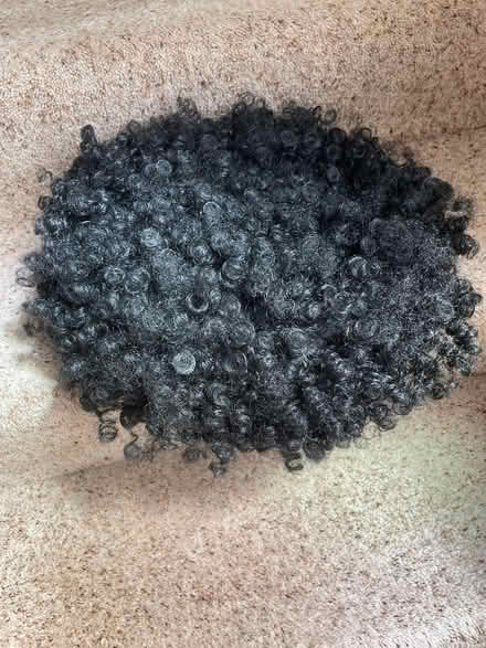 Photo of free Adult dressing up wig (Bernards Heath AL1) #1