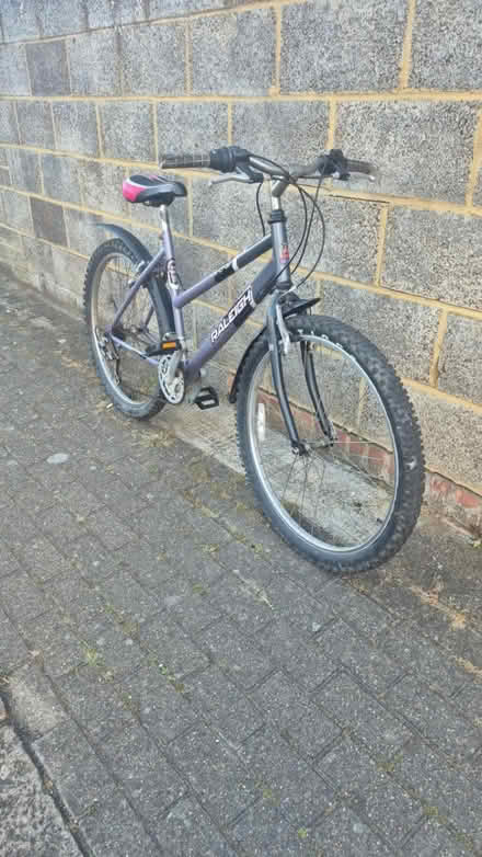 Photo of free Raleigh tantrum (UB1) #1