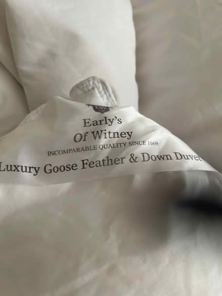 Photo of free Feather and down double duvet (Rodwell DT4) #3