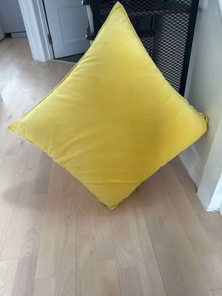 Photo of free Cushing (Whetstone N20) #1