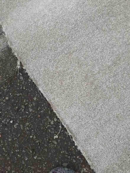 Photo of free Room size carpet (CF5 canton) #2