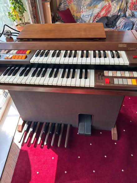 Photo of free Electric organ (Pebsham TN40) #1