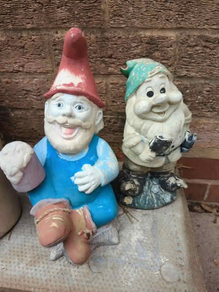 Photo of free Garden gnomes (Blossomfield B91) #1