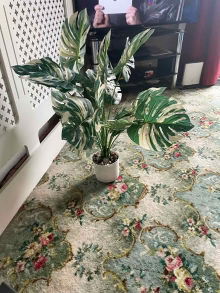 Photo of free Artificial plant (Clayton brook PR5 8) #2