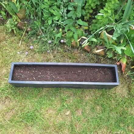 Photo of free Black plastic planter (Witham CM8) #2
