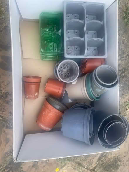 Photo of free Plastic plant pots and trays (Pinkneys Green SL6) #1