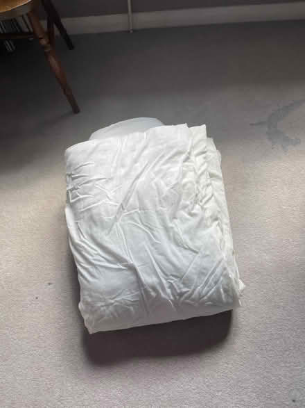 Photo of free Duvet for Pet Bedding (Northlands Wood) #1