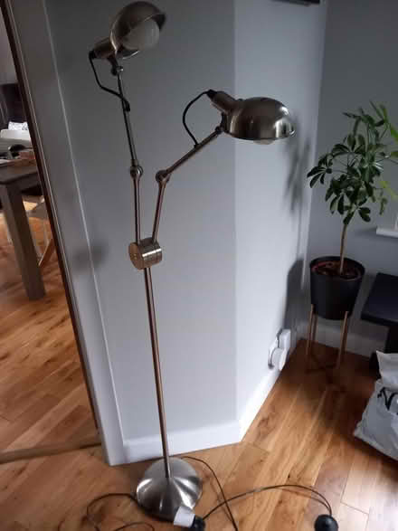 Photo of free floor lamp (RG6 near Palmer Park) #1