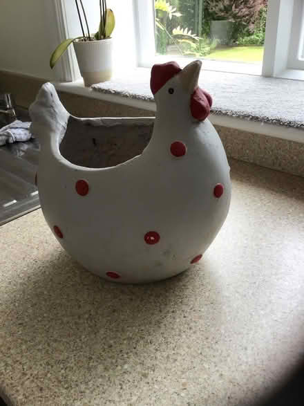 Photo of free Fun 'Chicken' planter (Alderley Edge SK9) #2