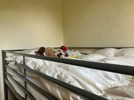 Photo of free Bunk bed and matress (Edinburgh EH9) #1