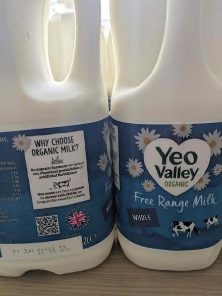 Photo of free Milk and cheese x50 (E14 Isle of Dogs) #1