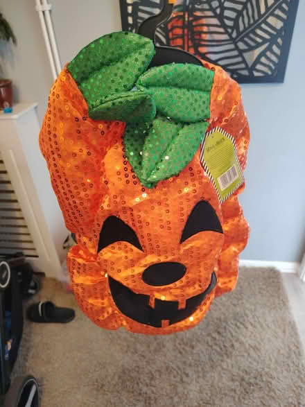 Photo of free Doggy halloween custome (RG2) #1