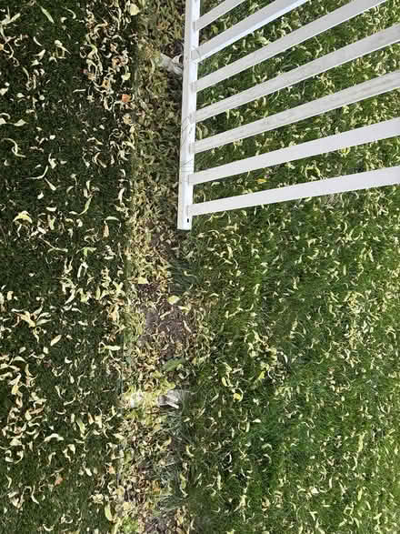 Photo of free Portable fencing (Southwest Darien) #2