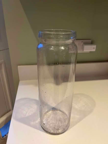 Photo of free Long glass vase (Clifton BS8) #1