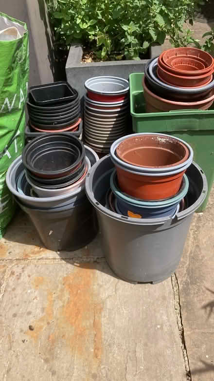 Photo of free Plant pots (Hornsey N8) #1