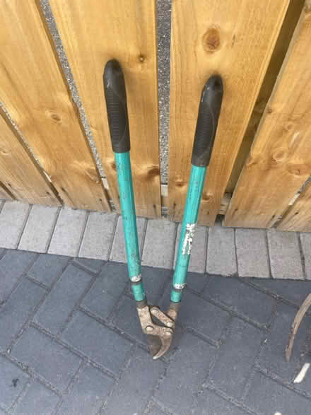 Photo of free Garden loppers (Fawdon NE3) #1