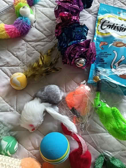 Photo of free Selection of cat toys (W5) #2