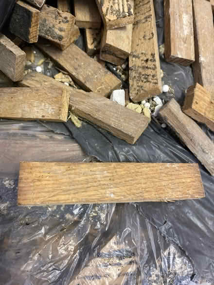 Photo of free So much parquet flooring (Horsham RH13) #1