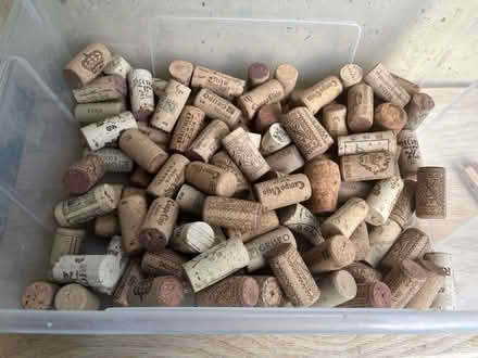 Photo of free Corks for craft (Middle Barton OX7) #1