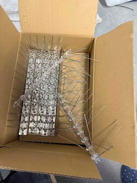 Photo of free Bird spikes (Faygate) #1