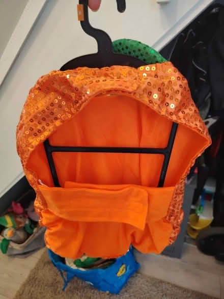 Photo of free Doggy halloween custome (RG2) #2