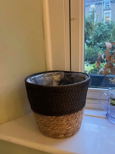 Photo of free Woven basket planter (Clifton BS8) #1