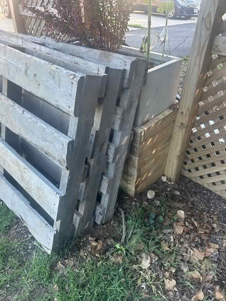 Photo of free Pallets (three of them) (20020) #3