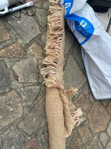 Photo of free Big sisal type rug (Horsham RH13) #2