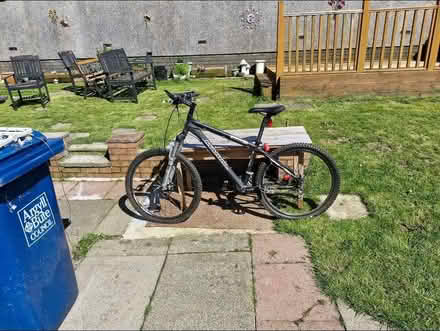 Photo of free mens bike (Cove G84) #2