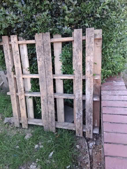 Photo of free 2 broken Fence panels 1 pallet (Sale M33) #2