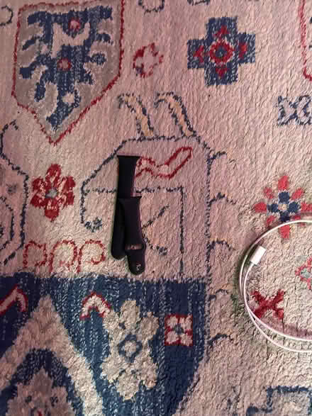 Photo of free Apple Watch band (Tufts University) #1