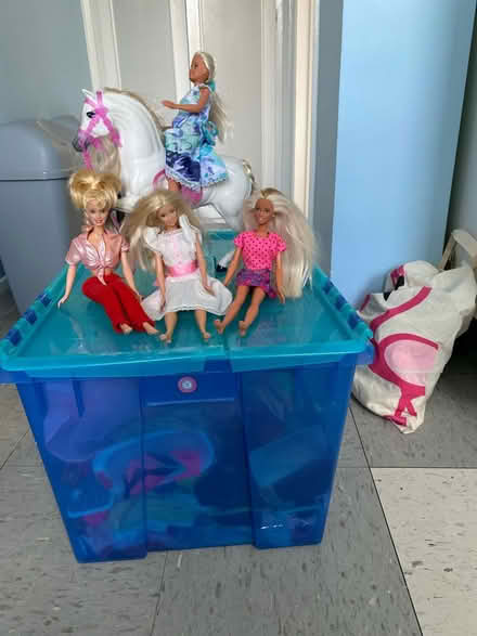 Photo of free Barbie dolls and Ken (Woking GU22 8RR) #1
