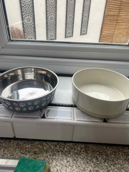 Photo of free 2 Dog/ Cat Bowls (Eastham CH62) #1