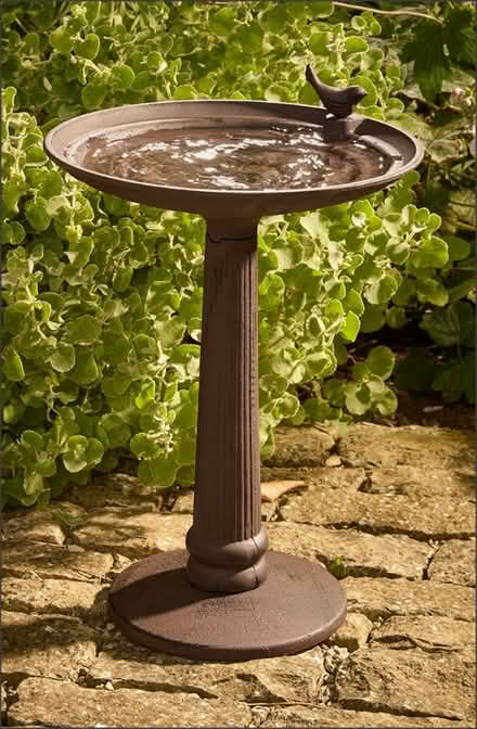 Photo of Bird Bath (Minster CT12) #2