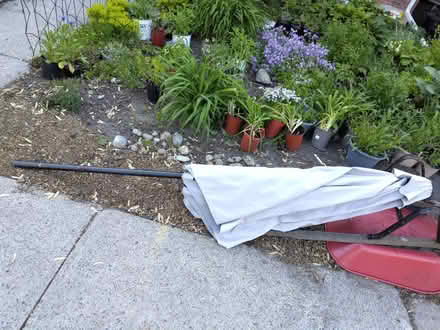 Photo of free Small patio umbrella/parasol (Old Ottawa south) #1
