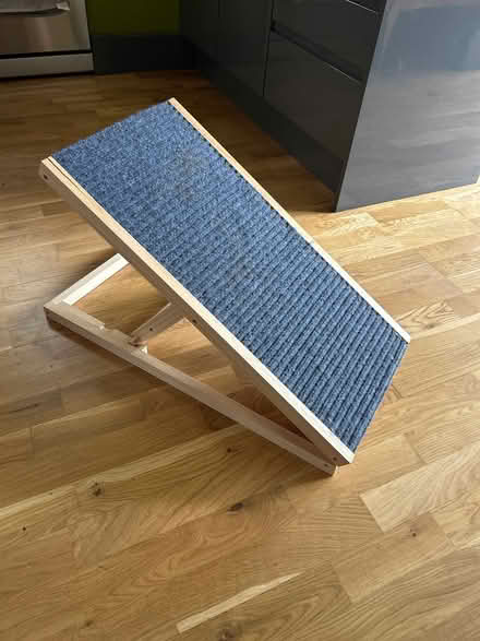 Photo of free Pet ramp (Hayling Island PO11) #1